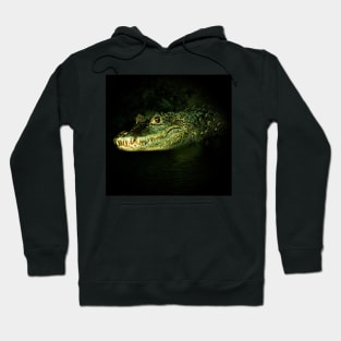 Dwarf crocodile Hoodie